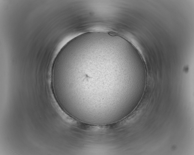 X0000091011195200708161952