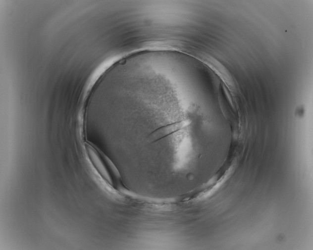 X0000091011196200708161952