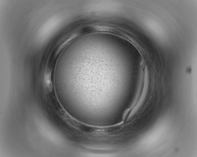 X0000091011198200708161952