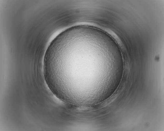 X0000091011199200708161952