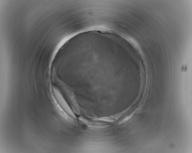 X0000091011200200708161952