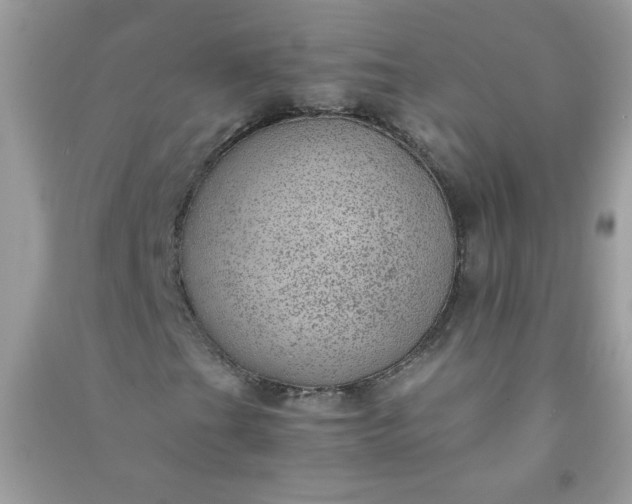 X0000091011201200708161951