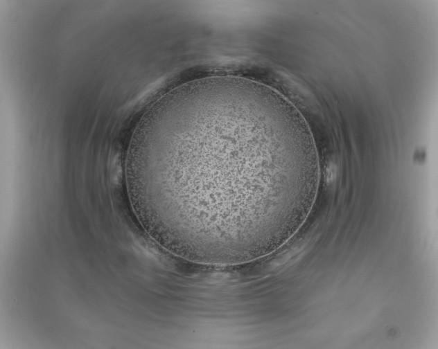 X0000091011204200708161951