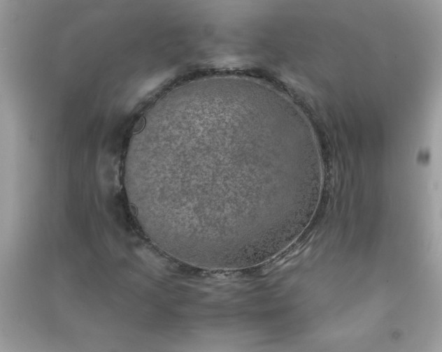 X0000091011205200708161951