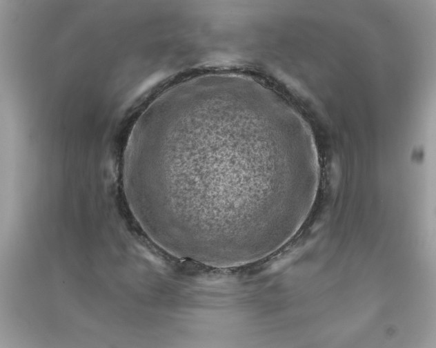 X0000091011206200708161951
