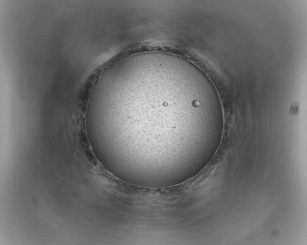 X0000091011207200708161951