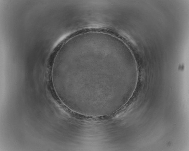 X0000091011208200708161951
