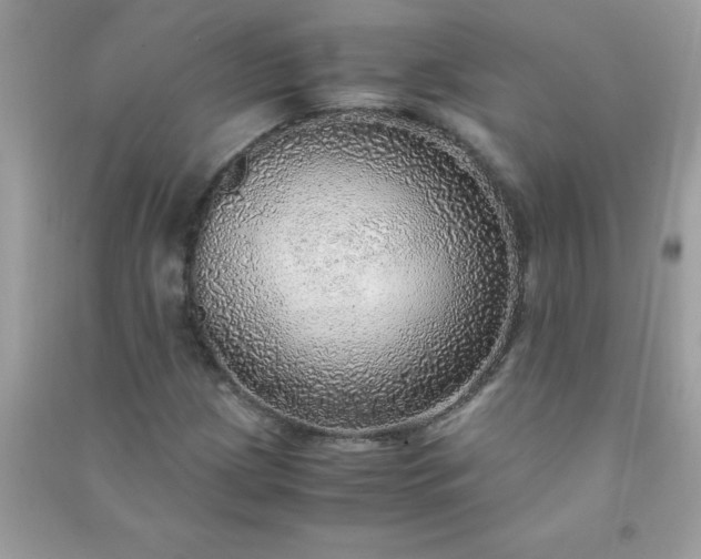 X0000091011209200708161951