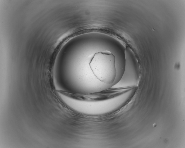X0000091011210200708161951