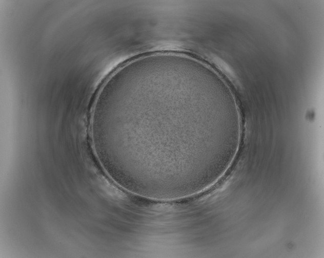X0000091011212200708161951