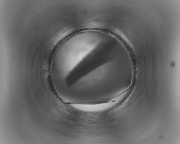 X0000091011213200708161951