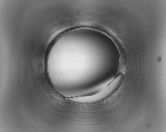 X0000091011214200708161951