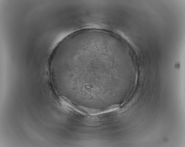 X0000091011215200708161951