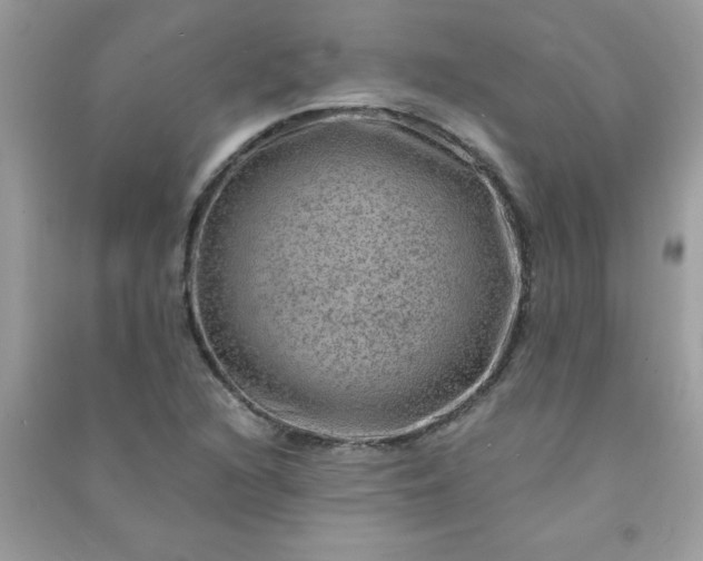 X0000091011216200708161951