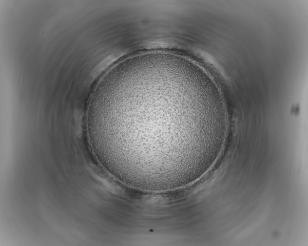 X0000091011217200708161951