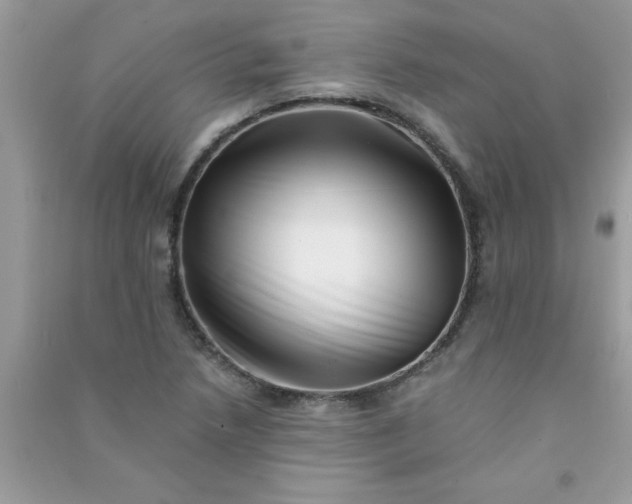 X0000091011218200708161951