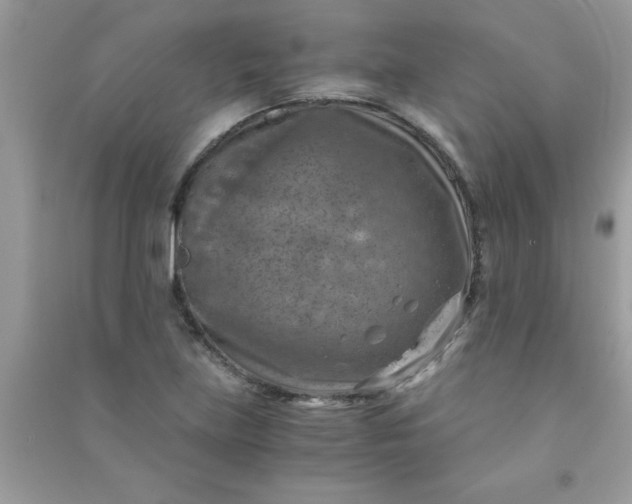 X0000091011219200708161951