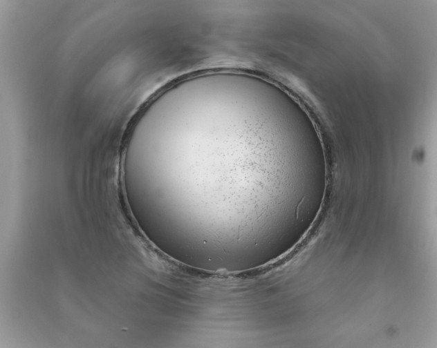 X0000091011220200708161951