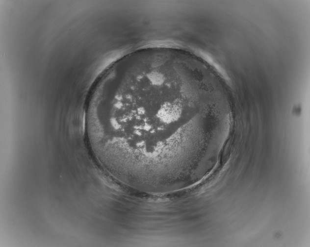 X0000091011221200708161951