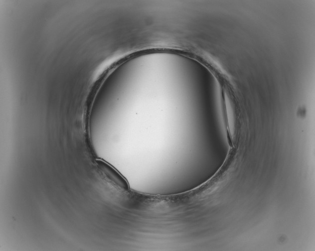 X0000091011222200708161951