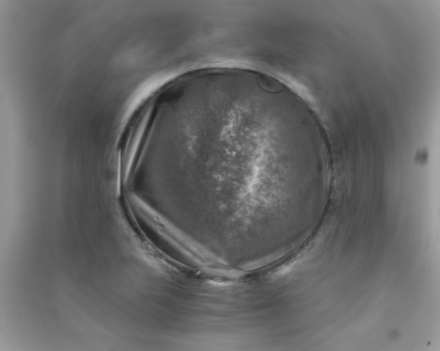 X0000091011223200708161951