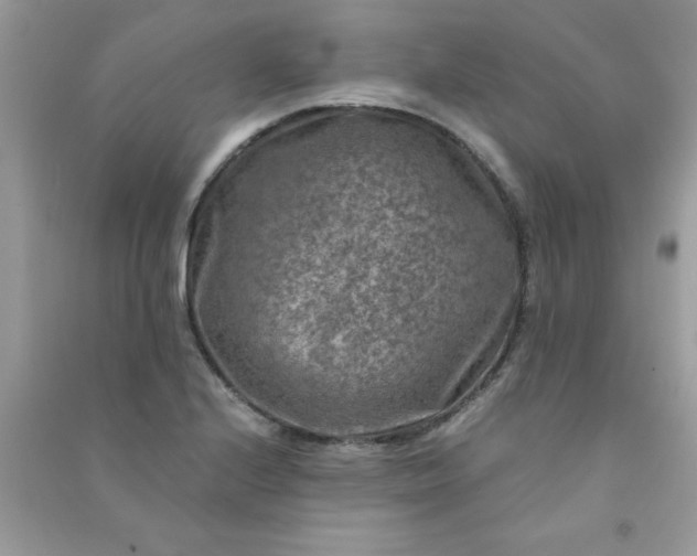 X0000091011224200708161951