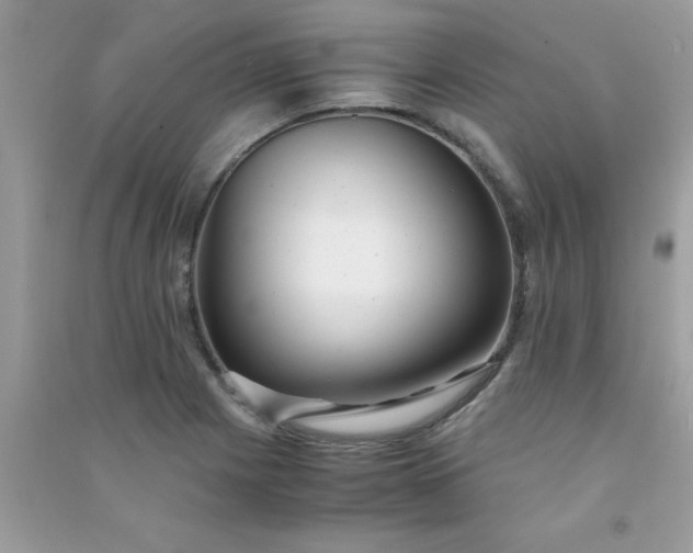 X0000091011225200708161951