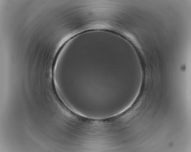 X0000091011226200708161951