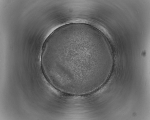 X0000091011228200708161951