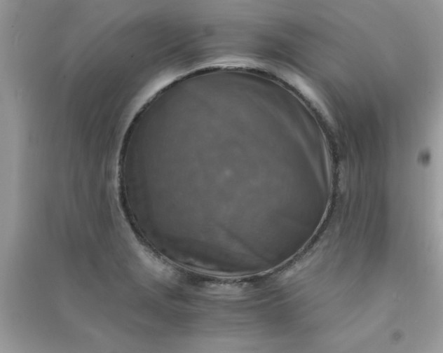 X0000091011229200708161951