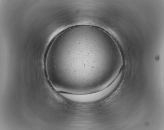 X0000091011230200708161951