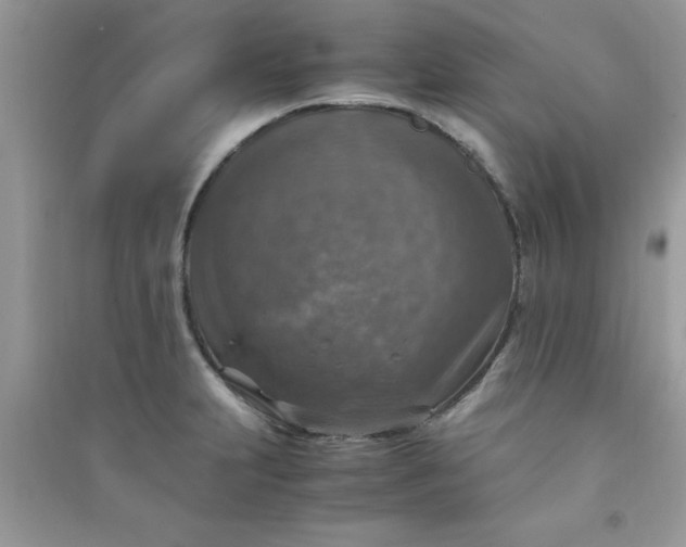 X0000091011231200708161951