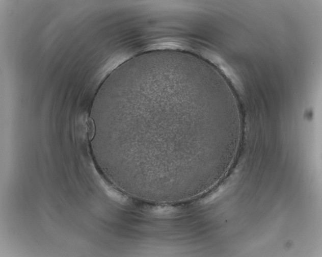 X0000091011233200708161952