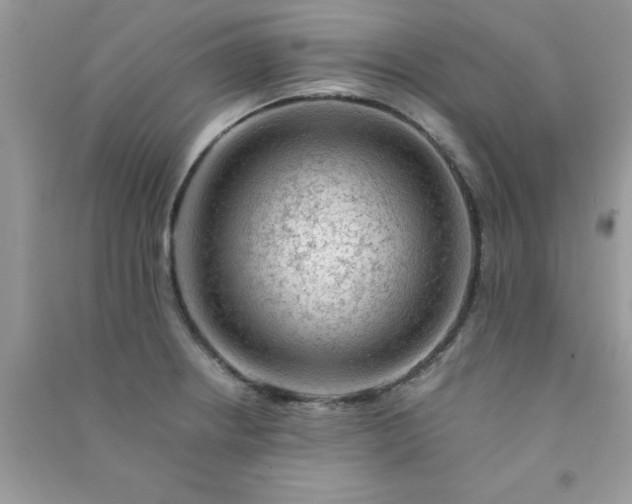 X0000091011234200708161952