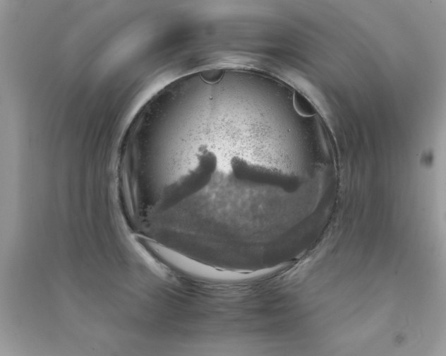X0000091011235200708161952