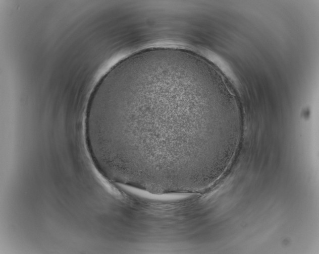X0000091011237200708161952