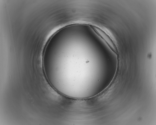 X0000091011238200708161952