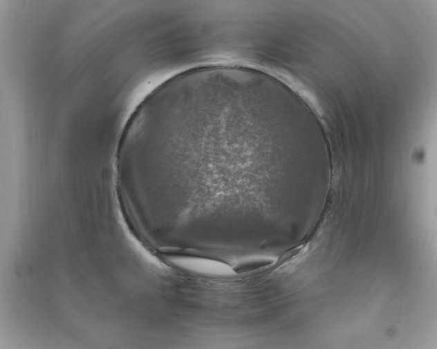 X0000091011239200708161952