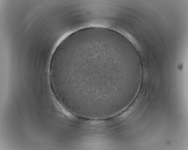 X0000091011240200708161952