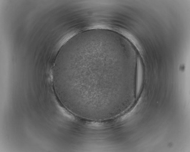 X0000091011241200708161952