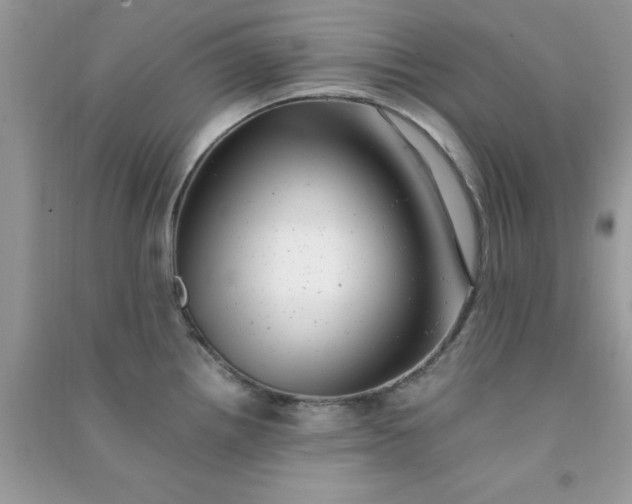 X0000091011242200708161952