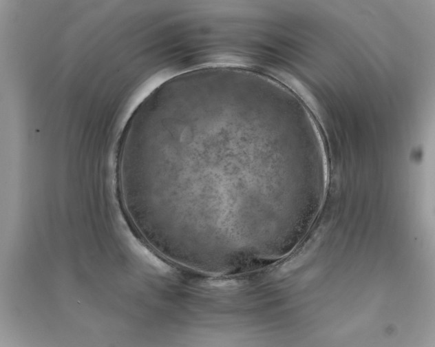 X0000091011243200708161952