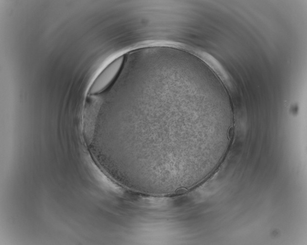 X0000091011244200708161952