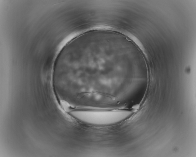 X0000091011245200708161952