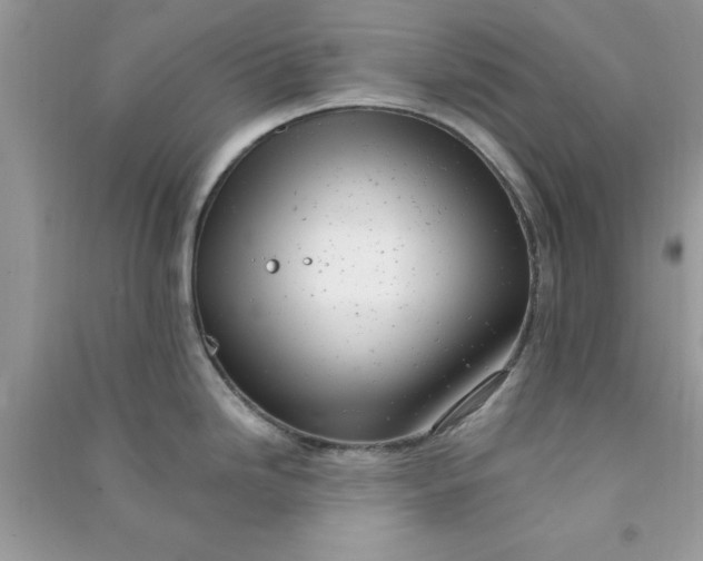 X0000091011246200708161952