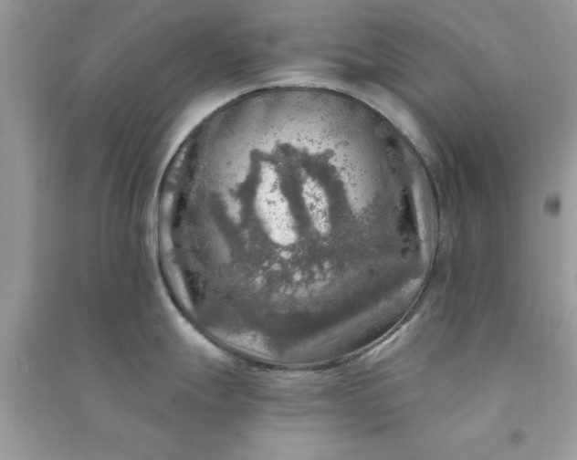 X0000091011247200708161952