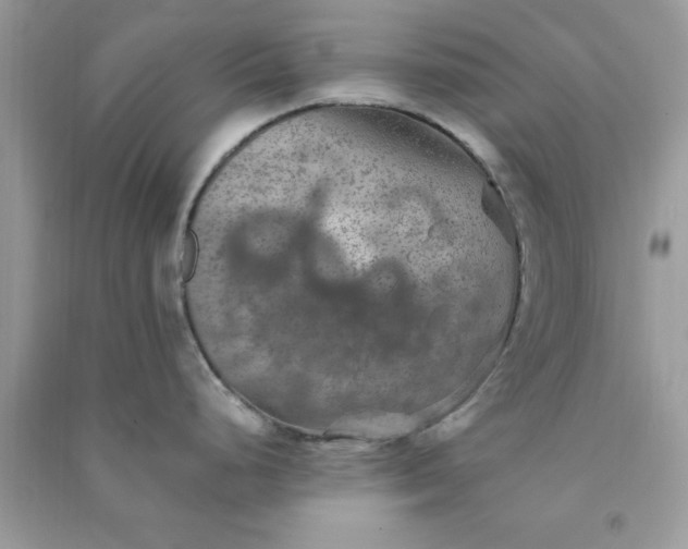 X0000091011248200708161952