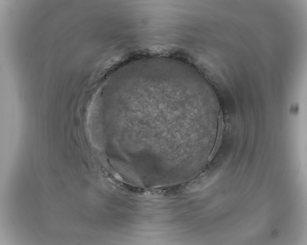 X0000091011249200708161951