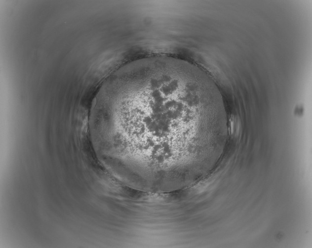 X0000091011251200708161951