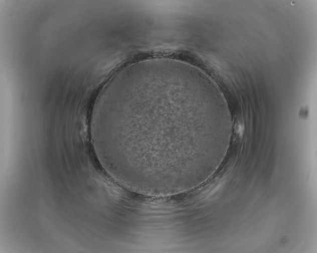 X0000091011252200708161951